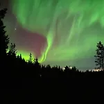 Private Aurora Experience By The Villa Ranua