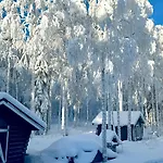 Private Aurora Experience By The