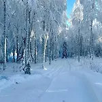 Private Aurora Experience By The * Ranua