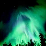 Private Aurora Experience By The Ranua