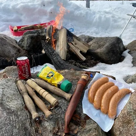 Private Lakefront Log In Lapland With Sauna Villa