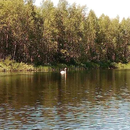 Private Lakefront Log In Lapland With Sauna Villa Ranua