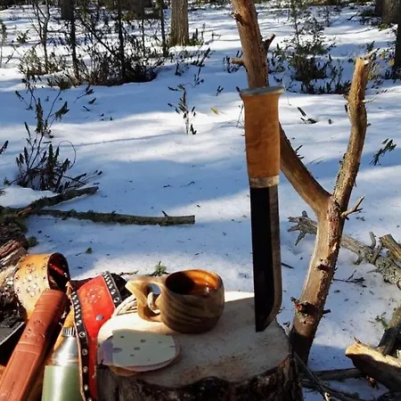 Villa Private Lakefront Log In Lapland With Sauna Ranua