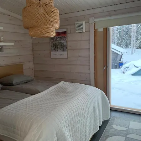Private Aurora Experience By The
