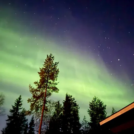 Private Aurora Experience By The *