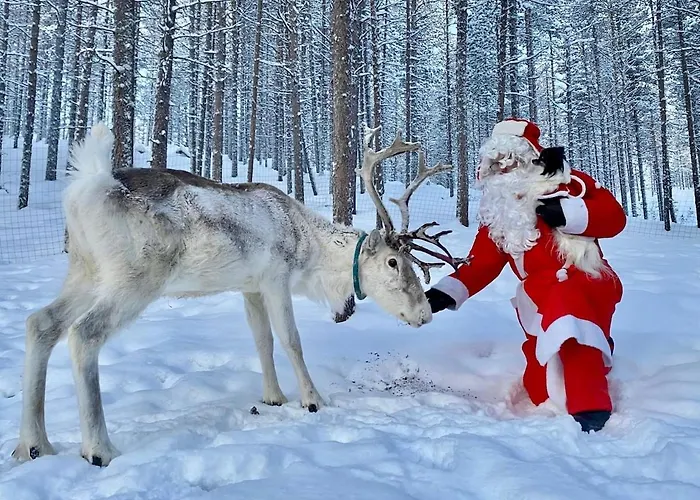 Private Lakefront Log In Lapland With Sauna *