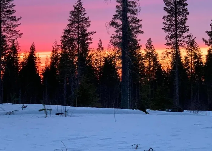 Villa Private Lakefront Log In Lapland With Sauna Ranua