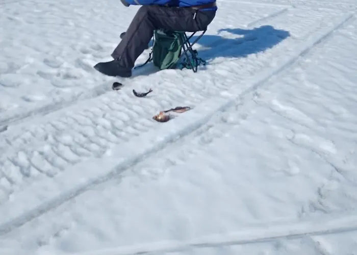 Private Lakefront Log In Lapland With Sauna