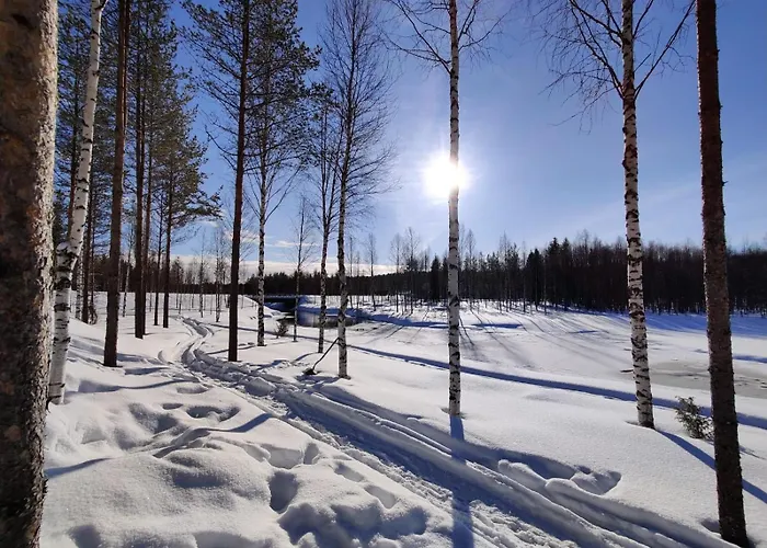 别墅 Private Lakefront Log In Lapland With Sauna
