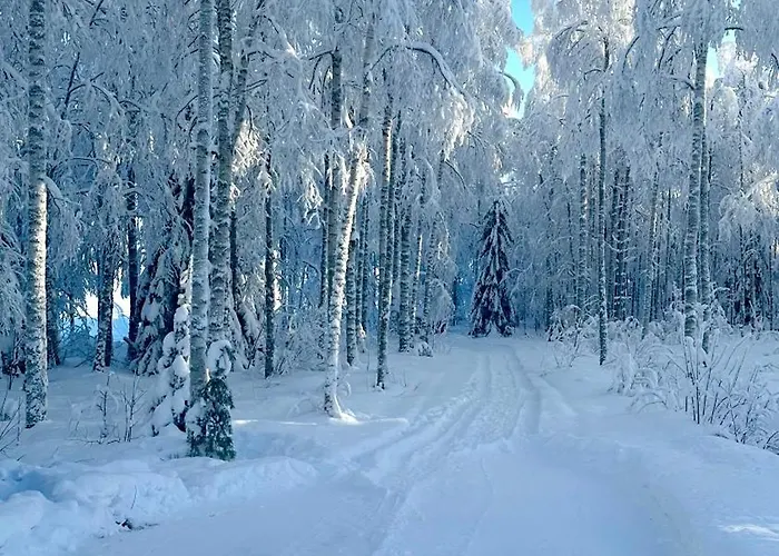 Private Lakefront Log In Lapland With Sauna * Ranua